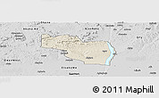 Shaded Relief Panoramic Map of EtsakoEa, desaturated