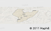 Shaded Relief Panoramic Map of OviaNort, lighten