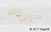 Shaded Relief Panoramic Map of Gwaram, lighten, desaturated