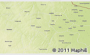 Physical 3D Map of Roni