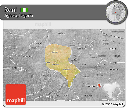 Satellite 3D Map of Roni, desaturated