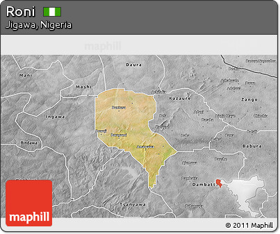 Satellite 3D Map of Roni, desaturated