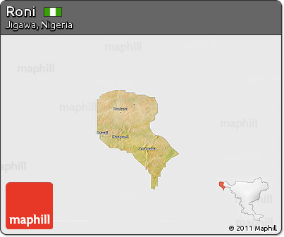 Satellite 3D Map of Roni, single color outside