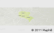 Physical Panoramic Map of Roni, lighten, semi-desaturated