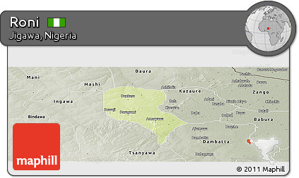 Physical Panoramic Map of Roni, semi-desaturated