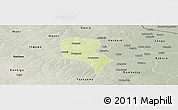 Physical Panoramic Map of Roni, semi-desaturated