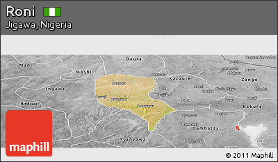Satellite Panoramic Map of Roni, desaturated