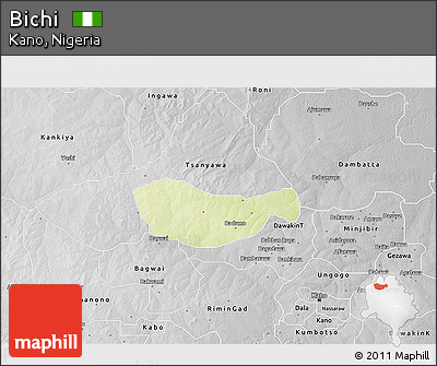Physical 3D Map of Bichi, desaturated