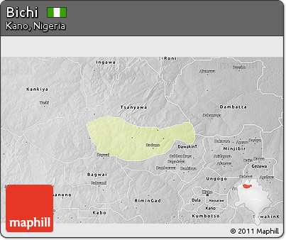 Physical 3D Map of Bichi, desaturated