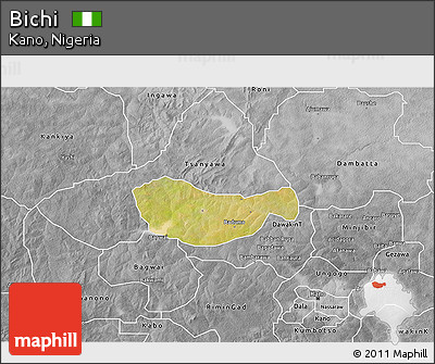 Satellite 3D Map of Bichi, desaturated