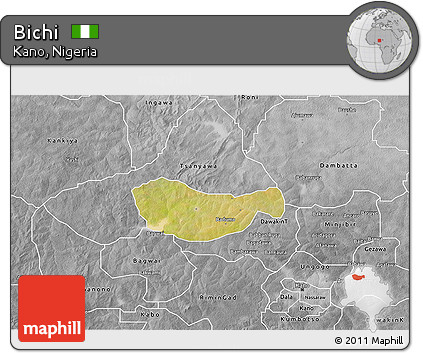 Satellite 3D Map of Bichi, desaturated