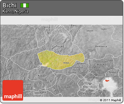 Satellite 3D Map of Bichi, desaturated
