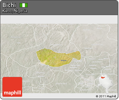 Satellite 3D Map of Bichi, lighten, semi-desaturated