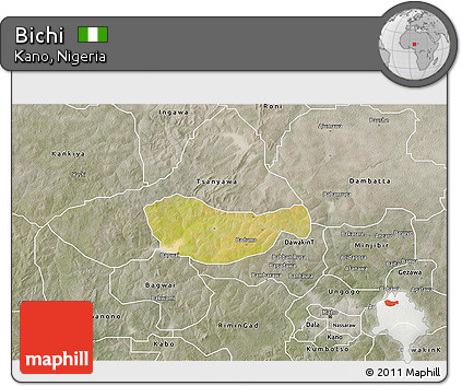 Satellite 3D Map of Bichi, semi-desaturated