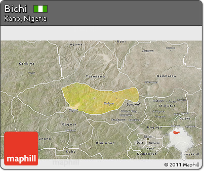 Satellite 3D Map of Bichi, semi-desaturated