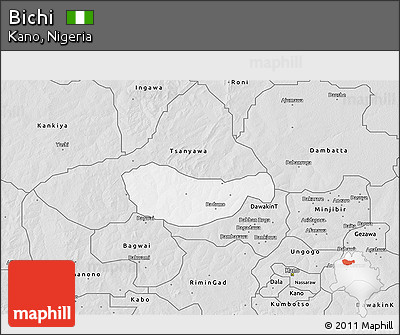 Silver Style 3D Map of Bichi