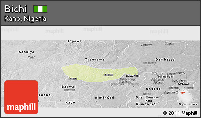 Physical Panoramic Map of Bichi, desaturated