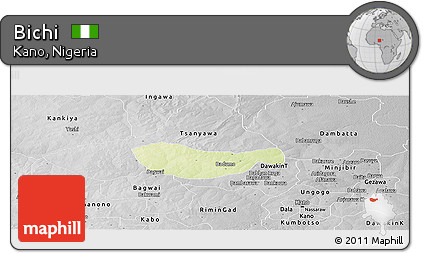 Physical Panoramic Map of Bichi, desaturated