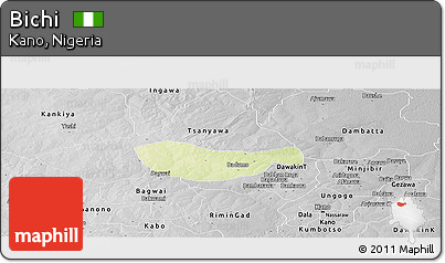 Physical Panoramic Map of Bichi, desaturated