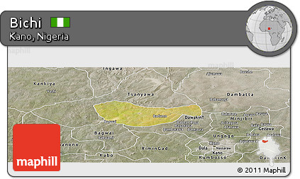 Satellite Panoramic Map of Bichi, semi-desaturated