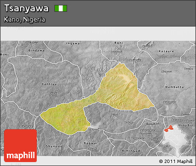Satellite 3D Map of Tsanyawa, desaturated