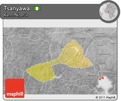 Satellite 3D Map of Tsanyawa, desaturated