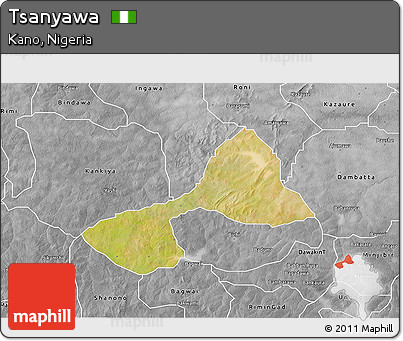 Satellite 3D Map of Tsanyawa, desaturated