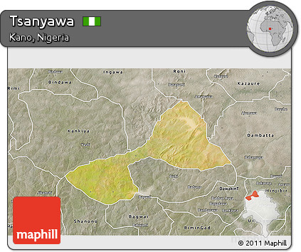 Satellite 3D Map of Tsanyawa, semi-desaturated