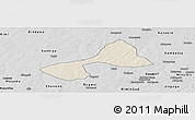 Shaded Relief Panoramic Map of Tsanyawa, desaturated