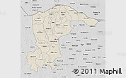 Shaded Relief 3D Map of Katsina, desaturated