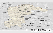 Shaded Relief Panoramic Map of Katsina, desaturated