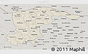 Shaded Relief Panoramic Map of Katsina, semi-desaturated