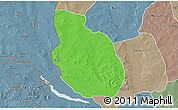 Political 3D Map of Dandi, semi-desaturated