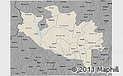 Shaded Relief 3D Map of Niger, darken, desaturated