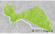 Physical 3D Map of Mokwa, lighten, desaturated