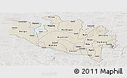 Shaded Relief Panoramic Map of Niger, lighten, semi-desaturated