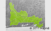 Physical 3D Map of Ogun, desaturated