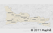 Shaded Relief Panoramic Map of Ogun, lighten, desaturated