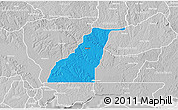 Political 3D Map of Shagamu, lighten, desaturated