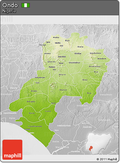 Physical 3D Map of Ondo, lighten, desaturated