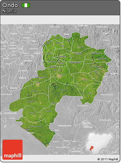 Satellite 3D Map of Ondo, lighten, desaturated