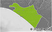Physical 3D Map of IlajeEseodo, desaturated
