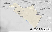 Shaded Relief 3D Map of IlajeEseodo, desaturated