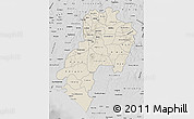 Shaded Relief Map of Ondo, desaturated