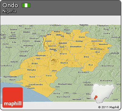 Savanna Style Panoramic Map of Ondo