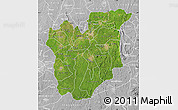 Satellite Map of Osun, lighten, desaturated