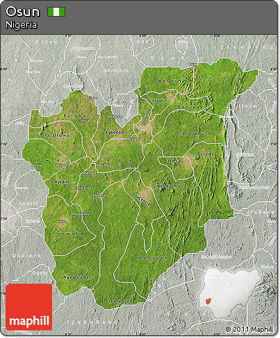 Satellite Map of Osun, lighten, semi-desaturated