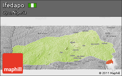 Physical Panoramic Map of Ifedapo, desaturated