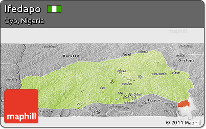 Physical Panoramic Map of Ifedapo, desaturated