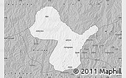 Gray Map of Irepo